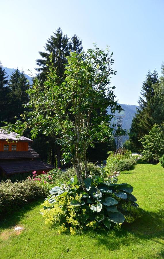 Die Kalsbergerin Ferienwohnung Fuer Geniesser Donnersbachwald Exterior foto